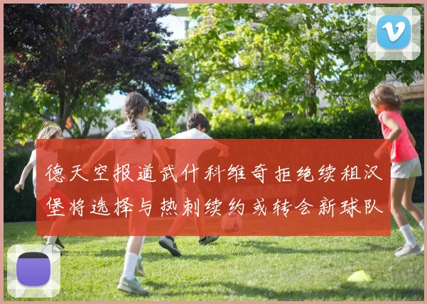 德天空报道武什科维奇拒绝续租汉堡将选择与热刺续约或转会新球队